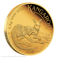 2025 Perth Mint - Mini Roo 0.5g Gold Proof Coin in Card