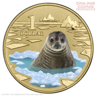 2013 $1 AlBr Uncirculated Carded Coin - Polar Animals Series - Weddell Seal