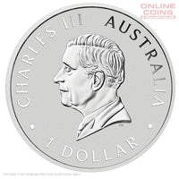 2025 Perth Mint Australian Emu 2025 1oz Silver Coloured Coin