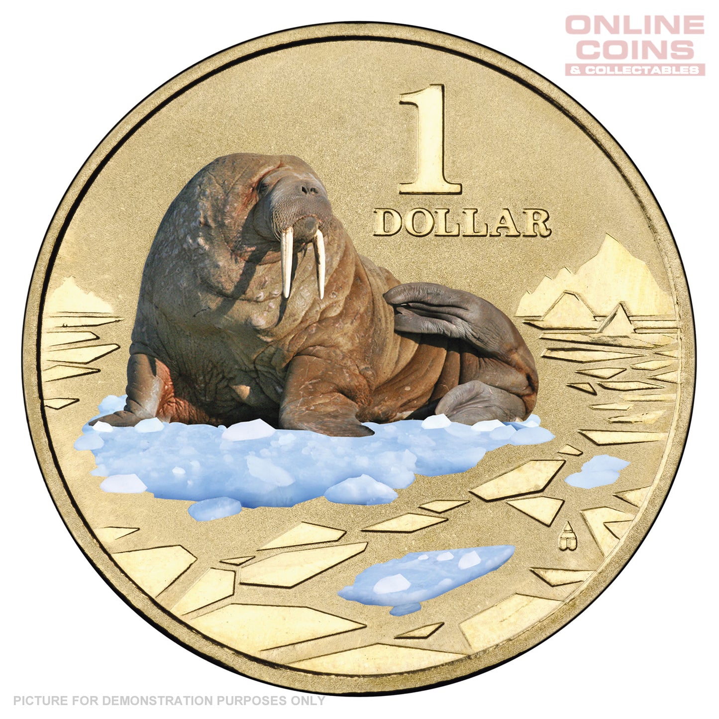 2013 $1 AlBr Uncirculated Carded Coin - Polar Animals Series - Walrus